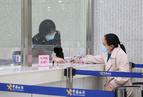 攜帶寵物出國(guó)的完整指南 手續(xù)與代理代辦