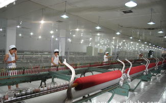 高檔精品時尚品牌羊絨衫誠招代理加盟，廠家直供，優價共贏